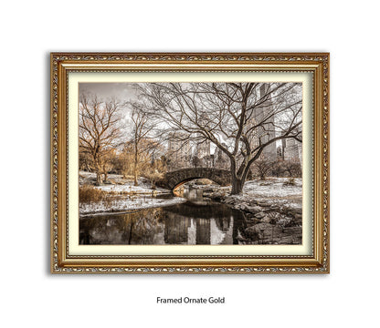 NYC Central Park Winters Day Assaf Frank Art Print