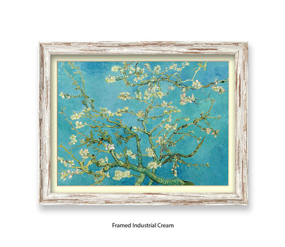 Almond Blossom Van Gogh Art Print