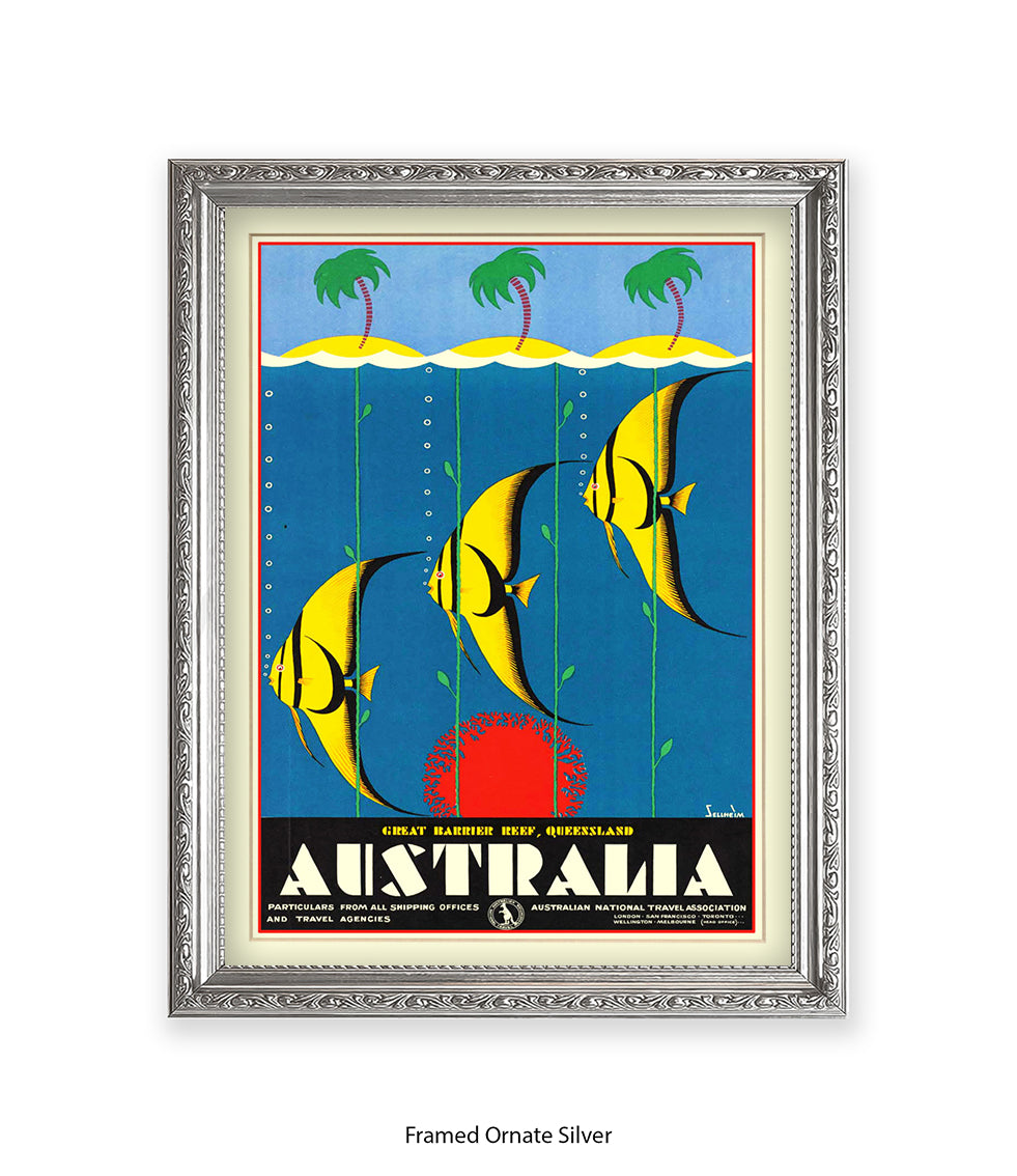 Australia Tropical Fish Art Print