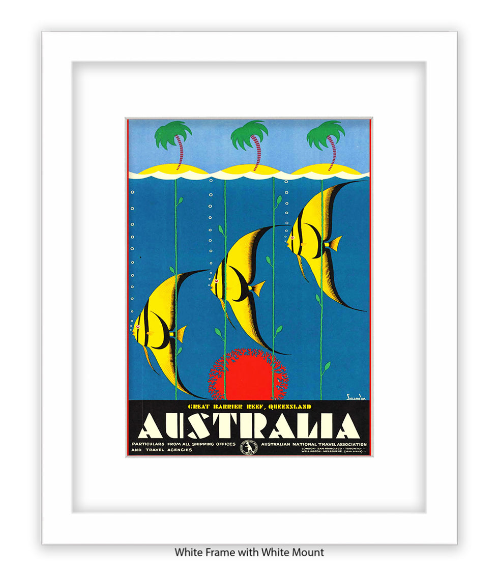 Australia Tropical Fish Art Print