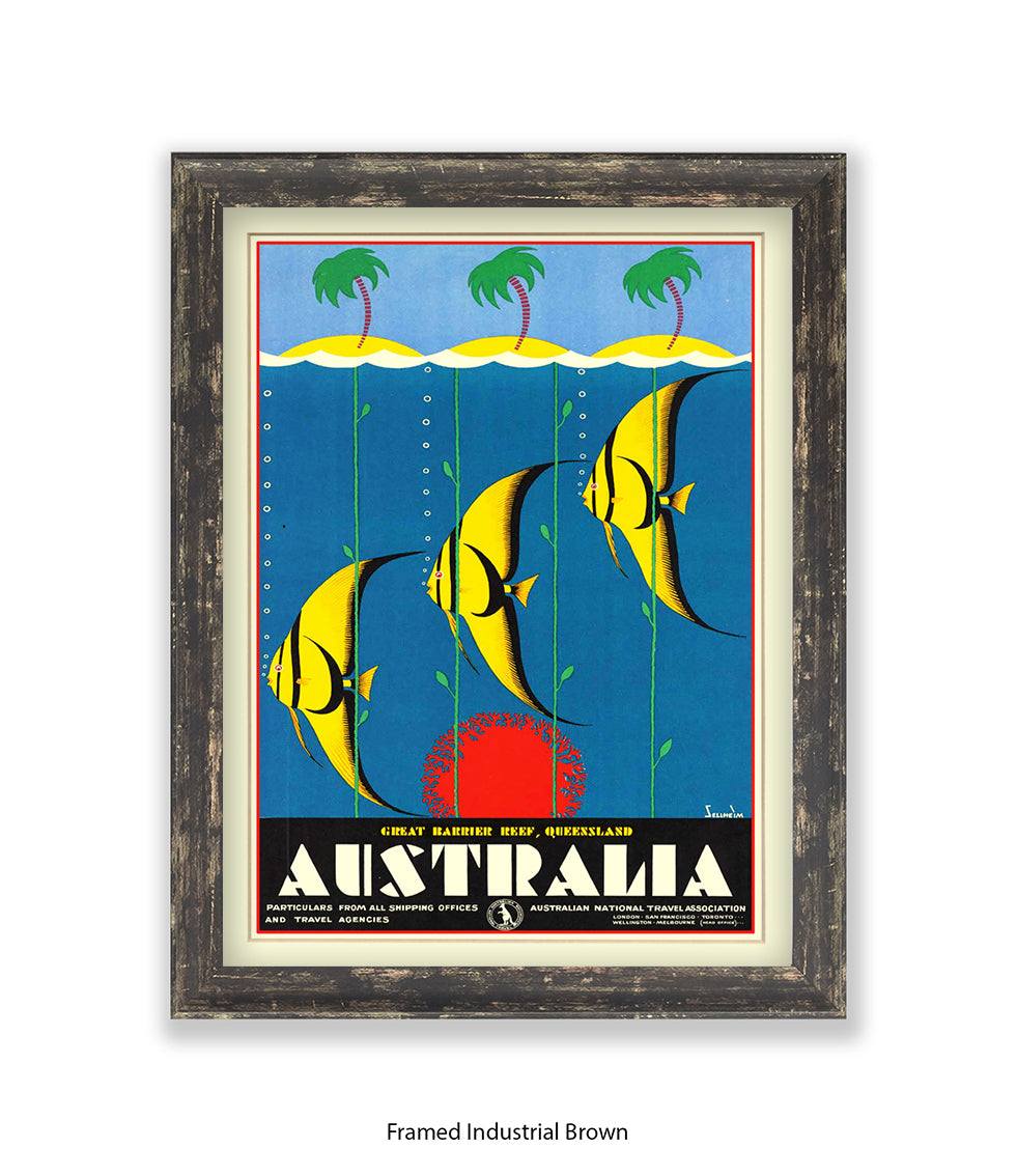 Australia Tropical Fish Art Print