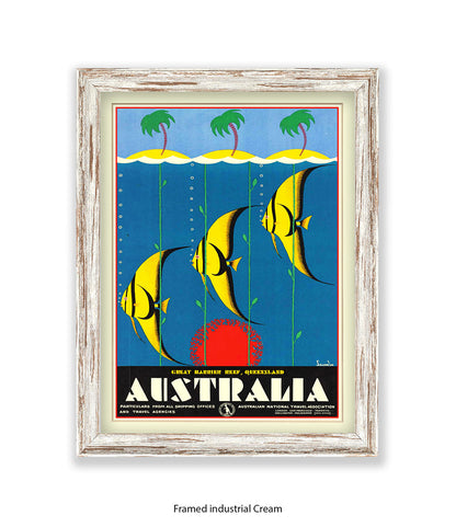 Australia Tropical Fish Art Print