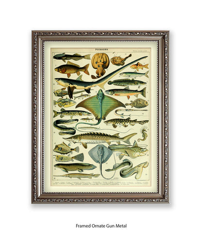 Poissons 1 to 29 French Botanical Art Print