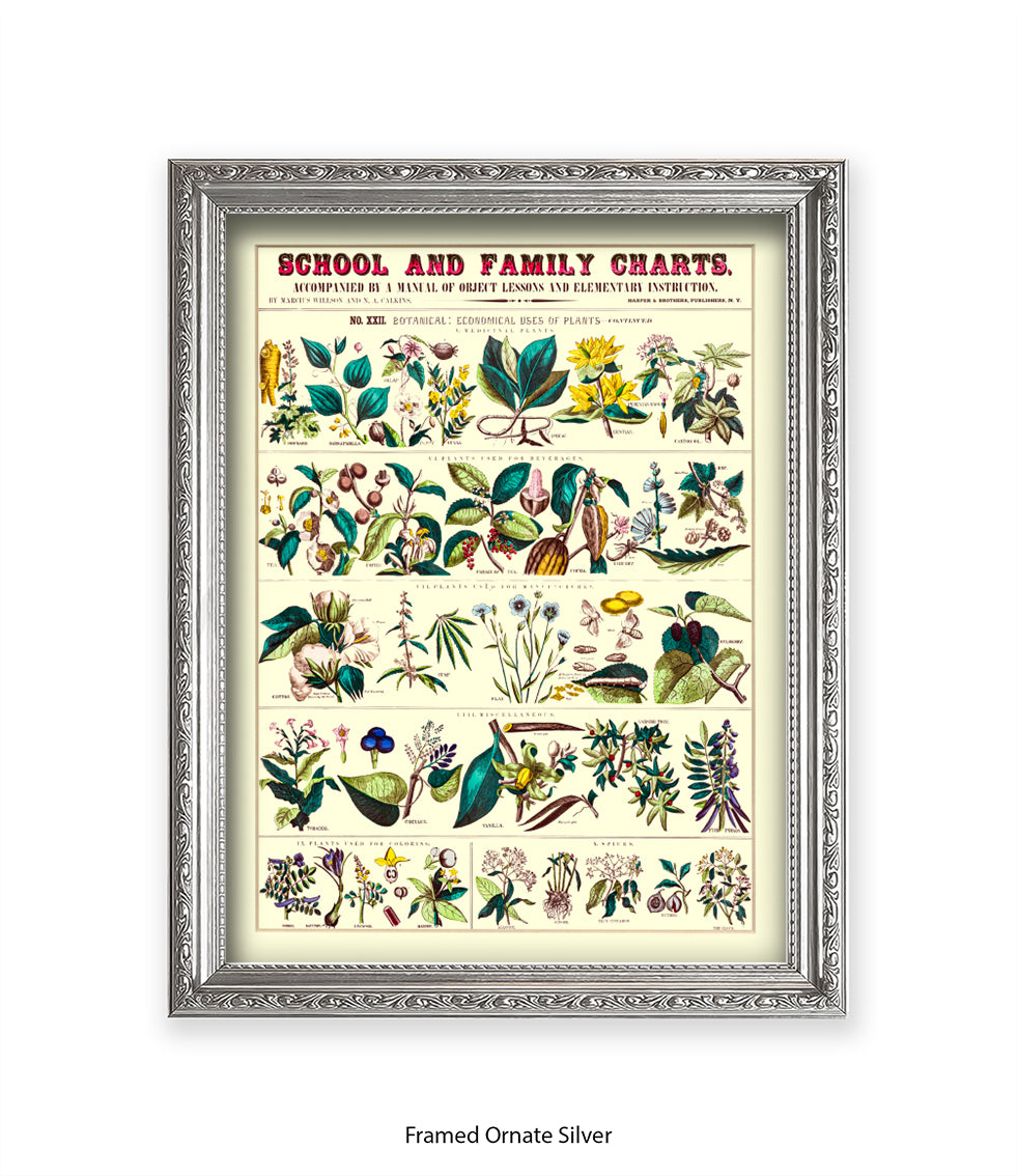 School & Family Charts - Fruits Roots & Plants Art Print