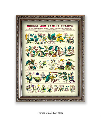 School & Family Charts - Fruits Roots & Plants Art Print