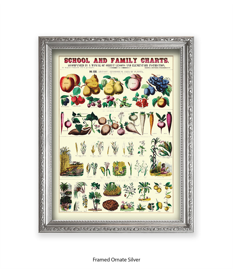 School & Family Charts - Plants Art Print