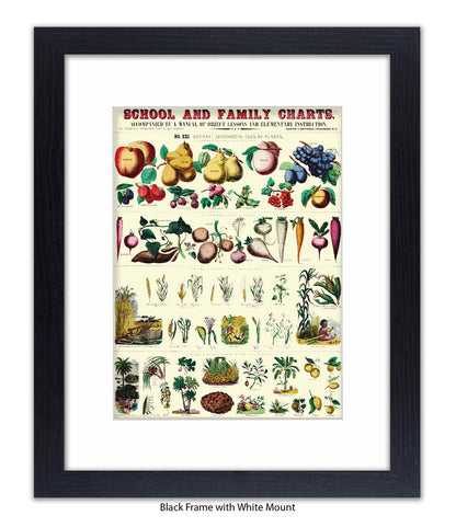 School & Family Charts - Plants Art Print