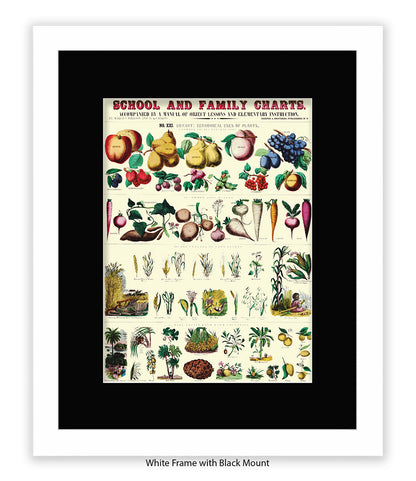 School & Family Charts - Plants Art Print