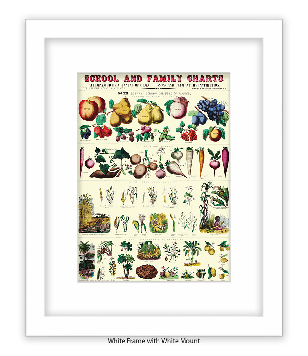 School & Family Charts - Plants Art Print