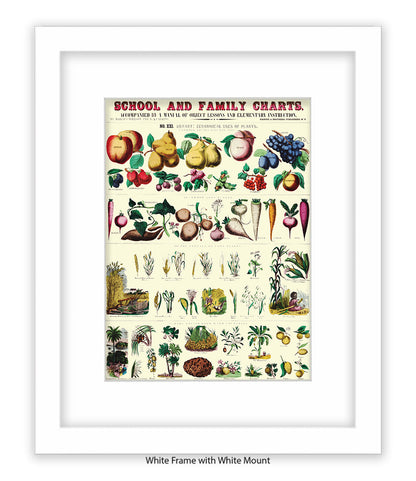 School & Family Charts - Plants Art Print