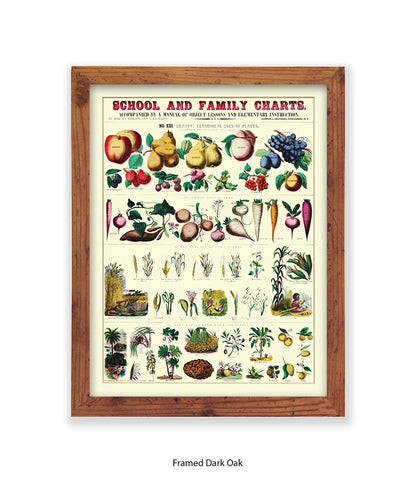 School & Family Charts - Plants Art Print