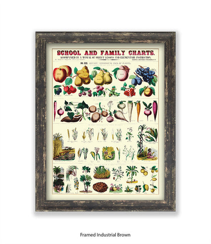 School & Family Charts - Plants Art Print