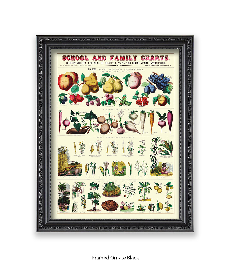 School & Family Charts - Plants Art Print