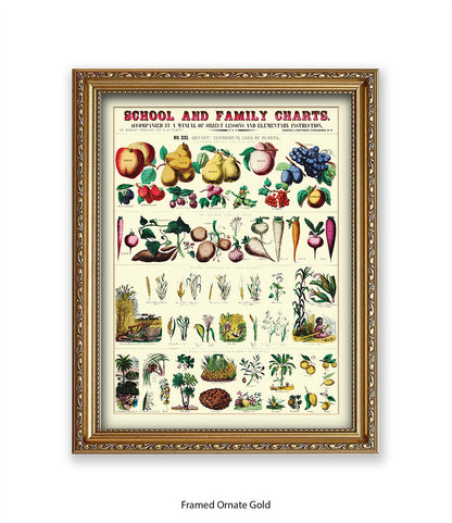 School & Family Charts - Plants Art Print