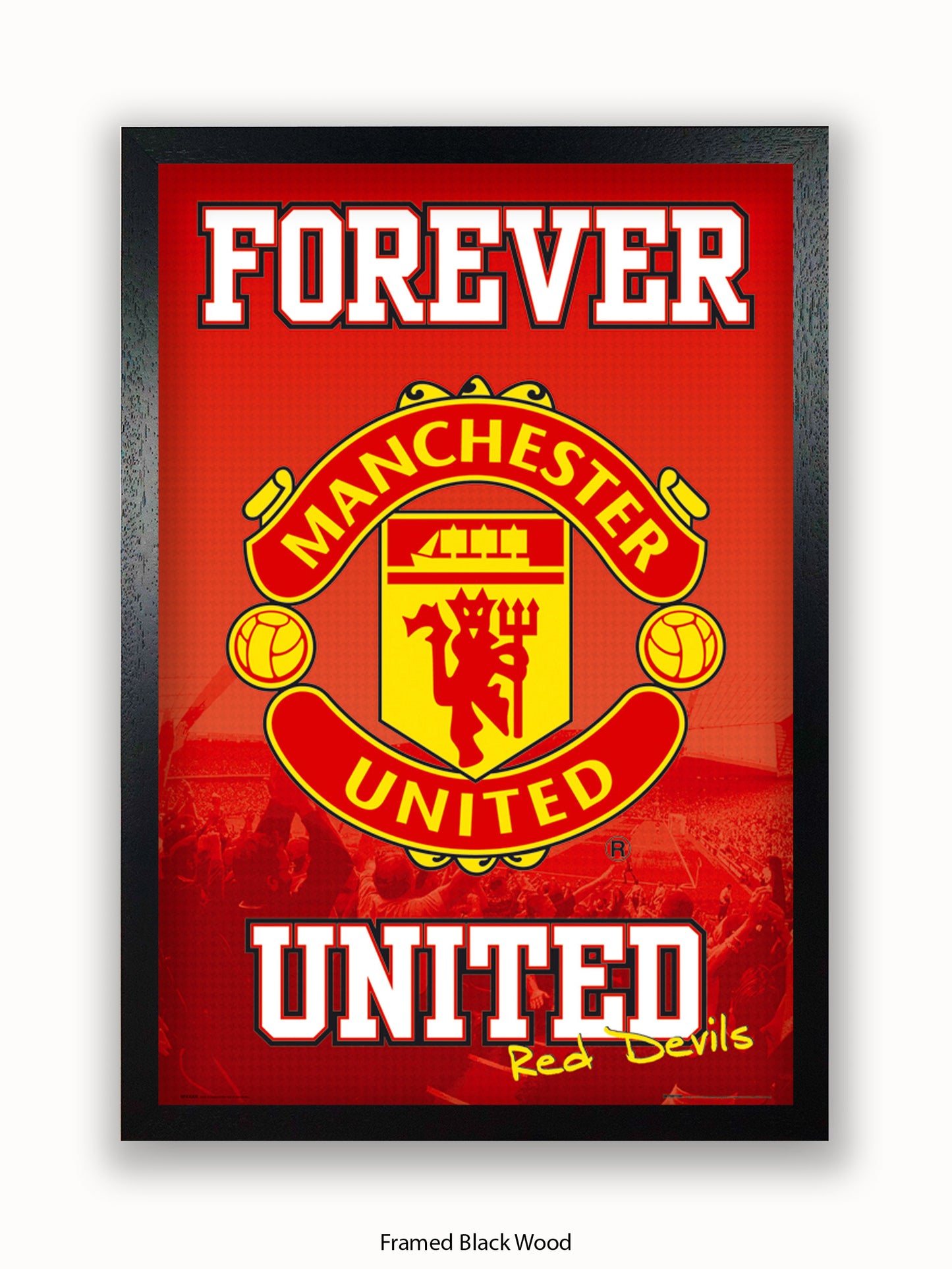 Manchester Utd  Forever United Poster