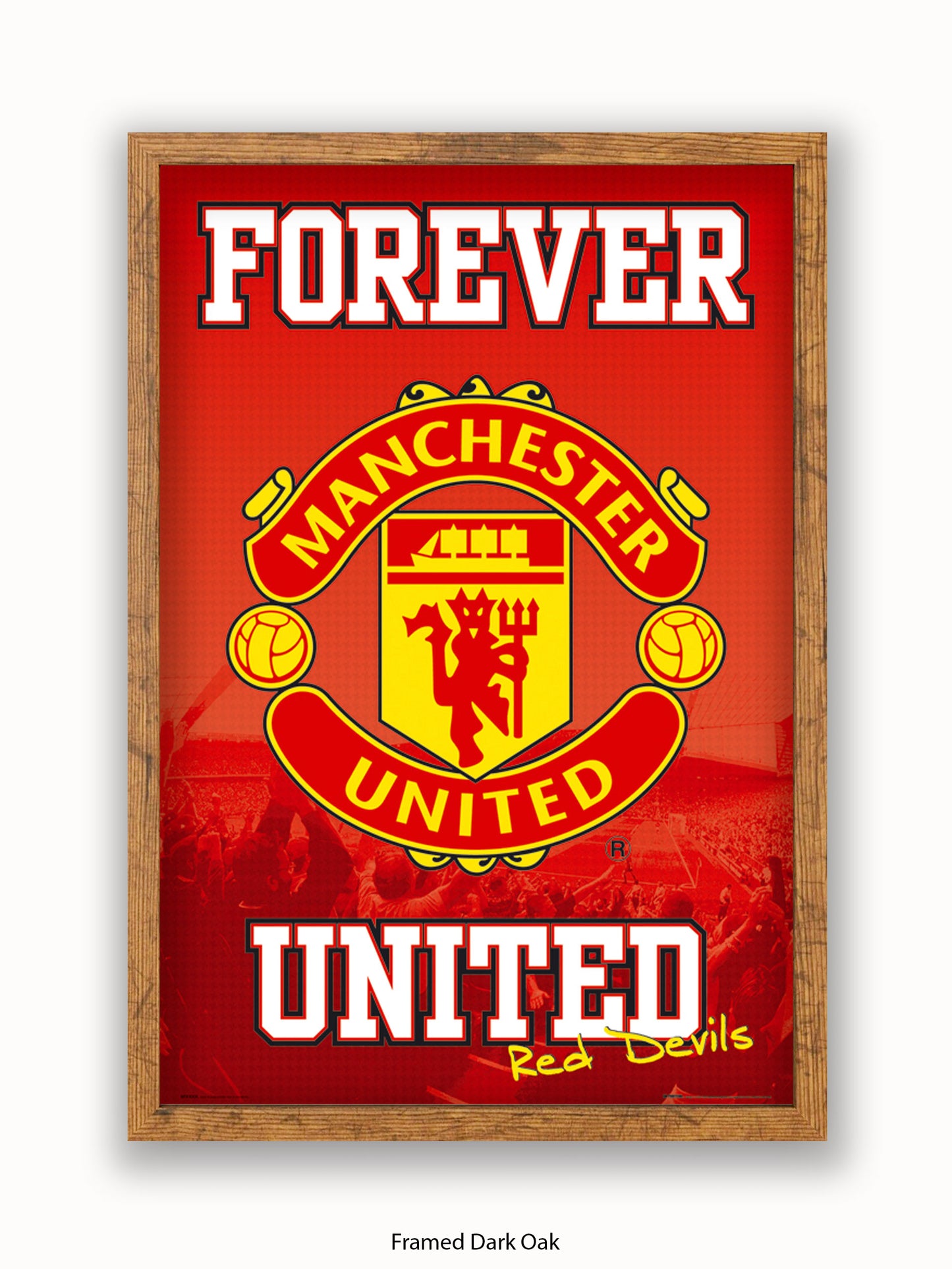 Manchester Utd  Forever United Poster