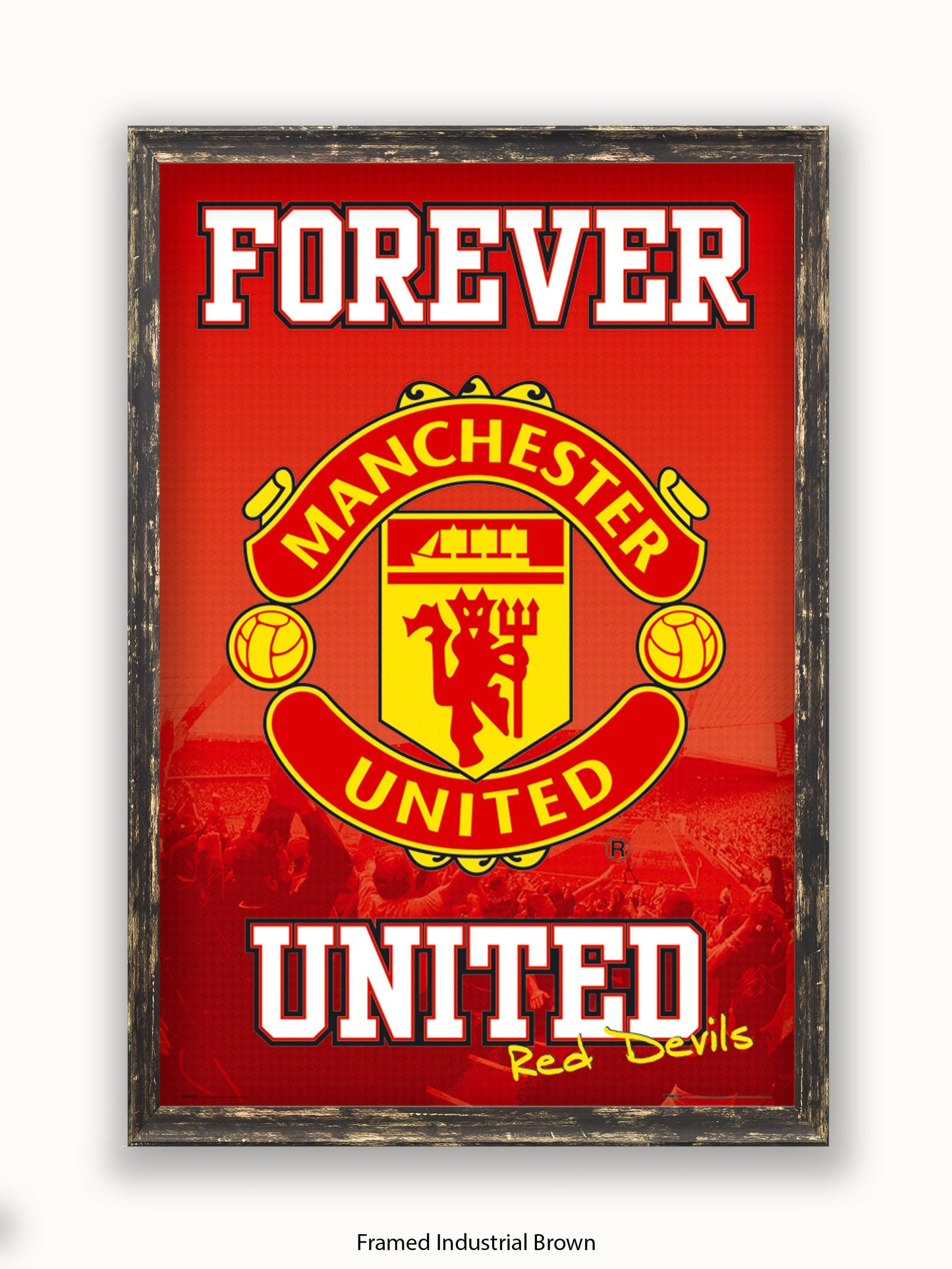 Manchester Utd  Forever United Poster