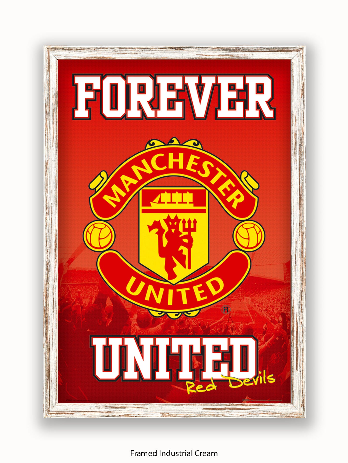 Manchester Utd  Forever United Poster