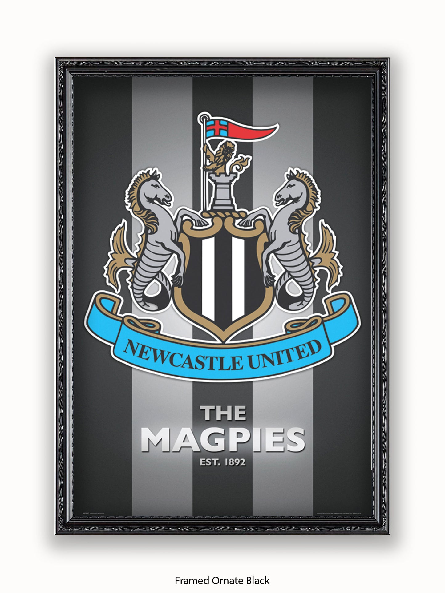 Newcastle Utd  The Magpies Poster