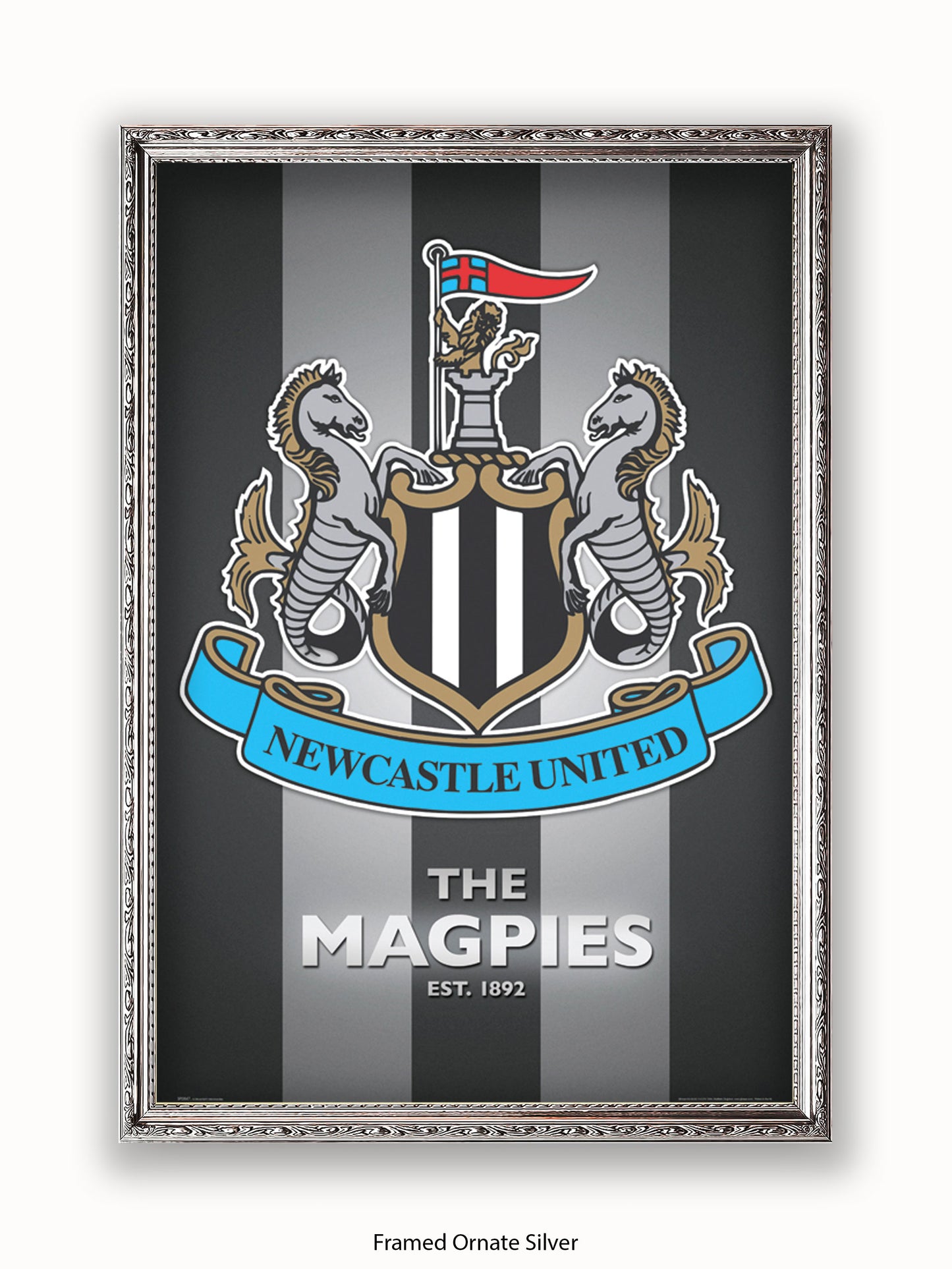 Newcastle Utd  The Magpies Poster