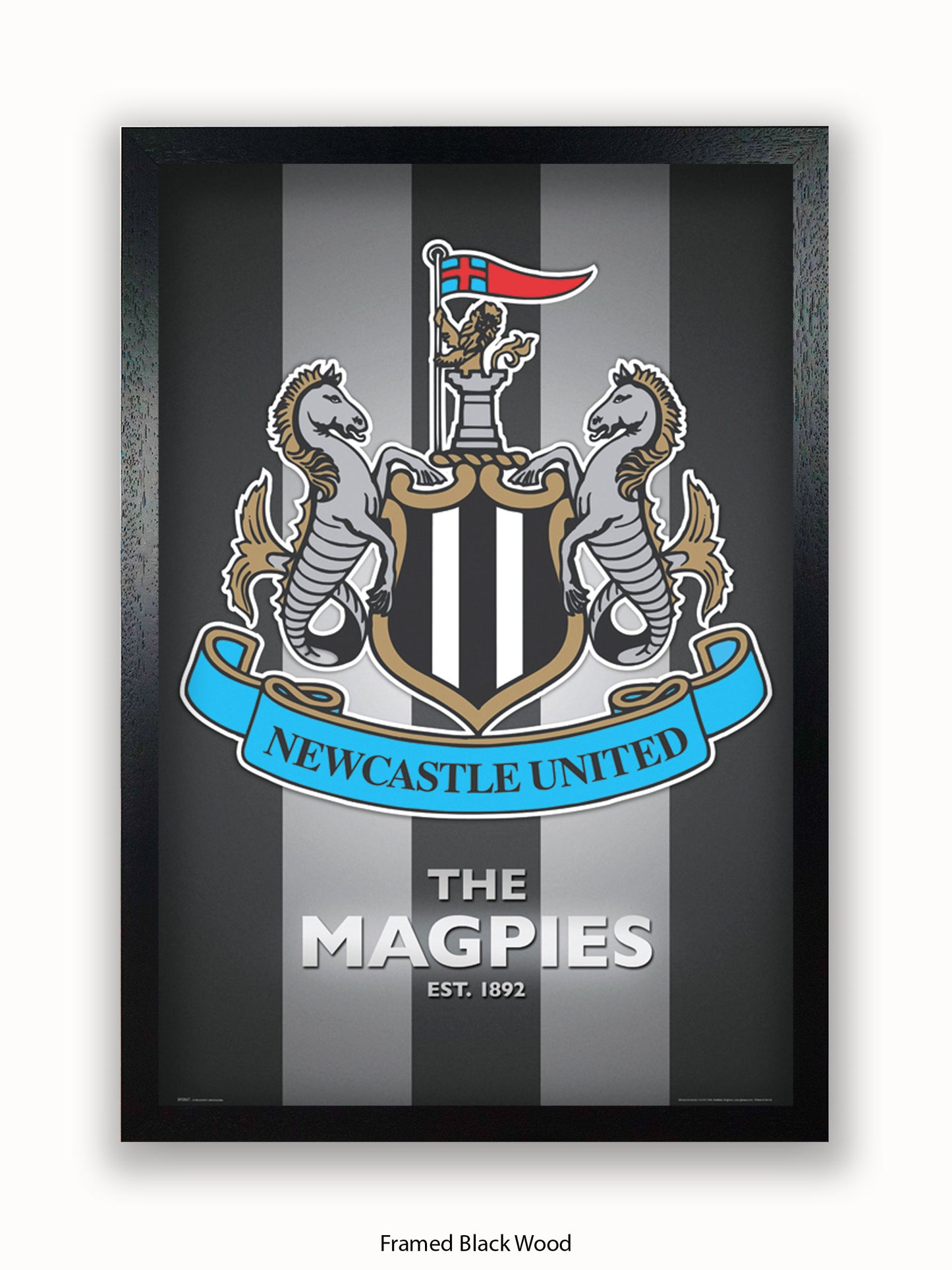 Newcastle Utd  The Magpies Poster