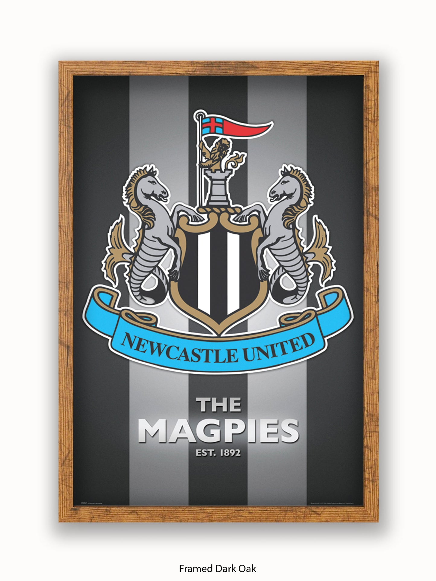 Newcastle Utd  The Magpies Poster