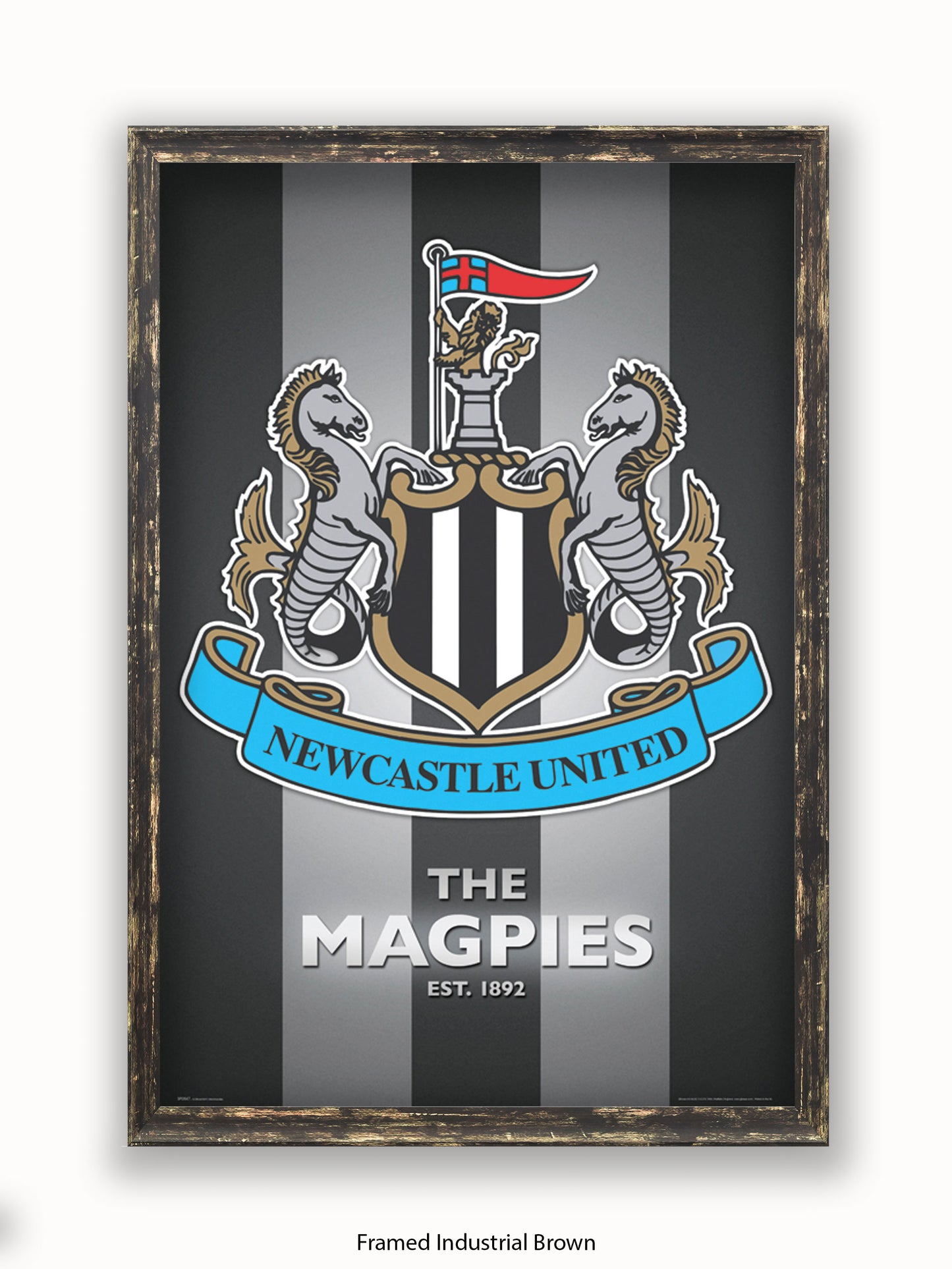 Newcastle Utd  The Magpies Poster