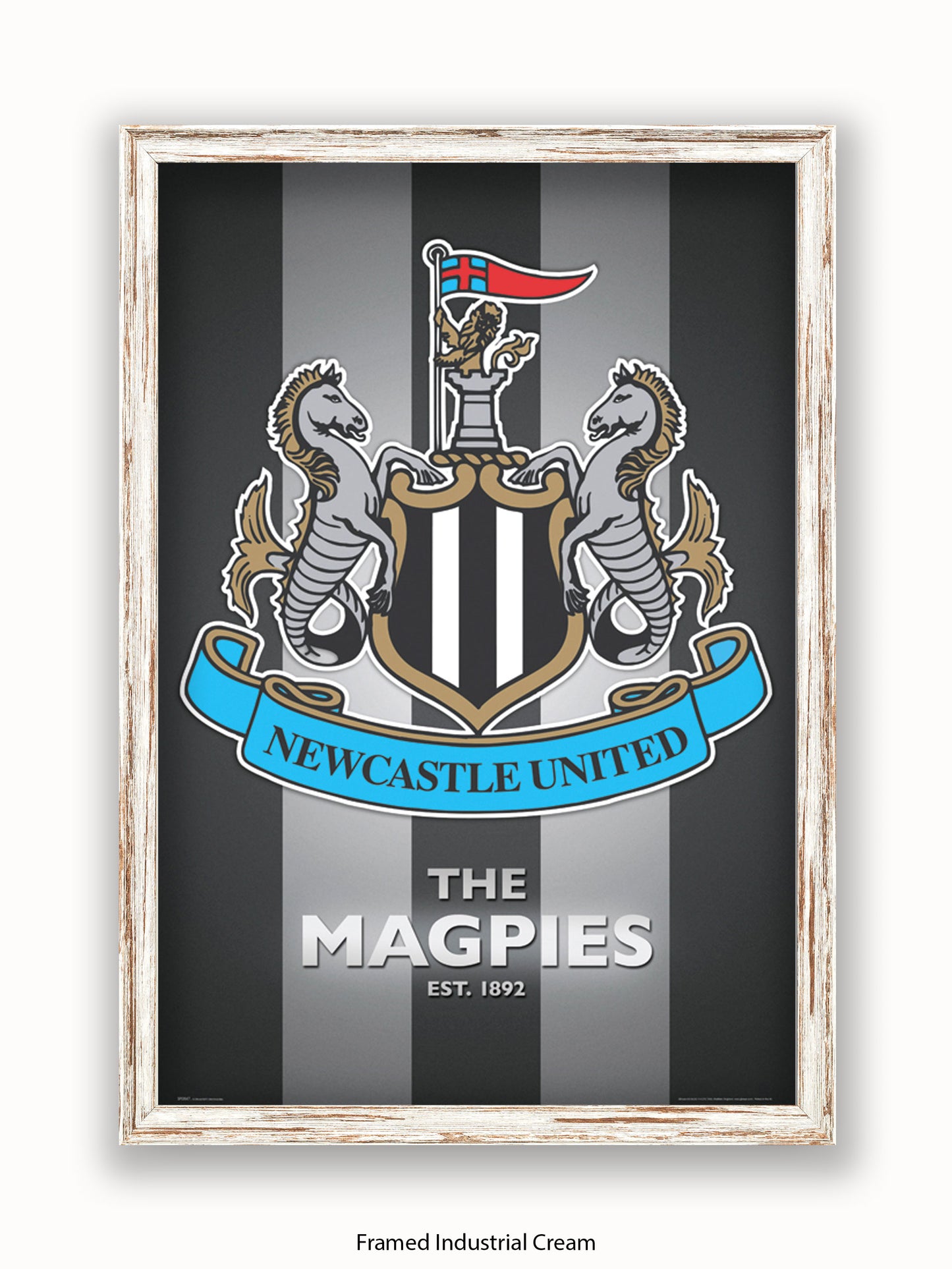 Newcastle Utd  The Magpies Poster