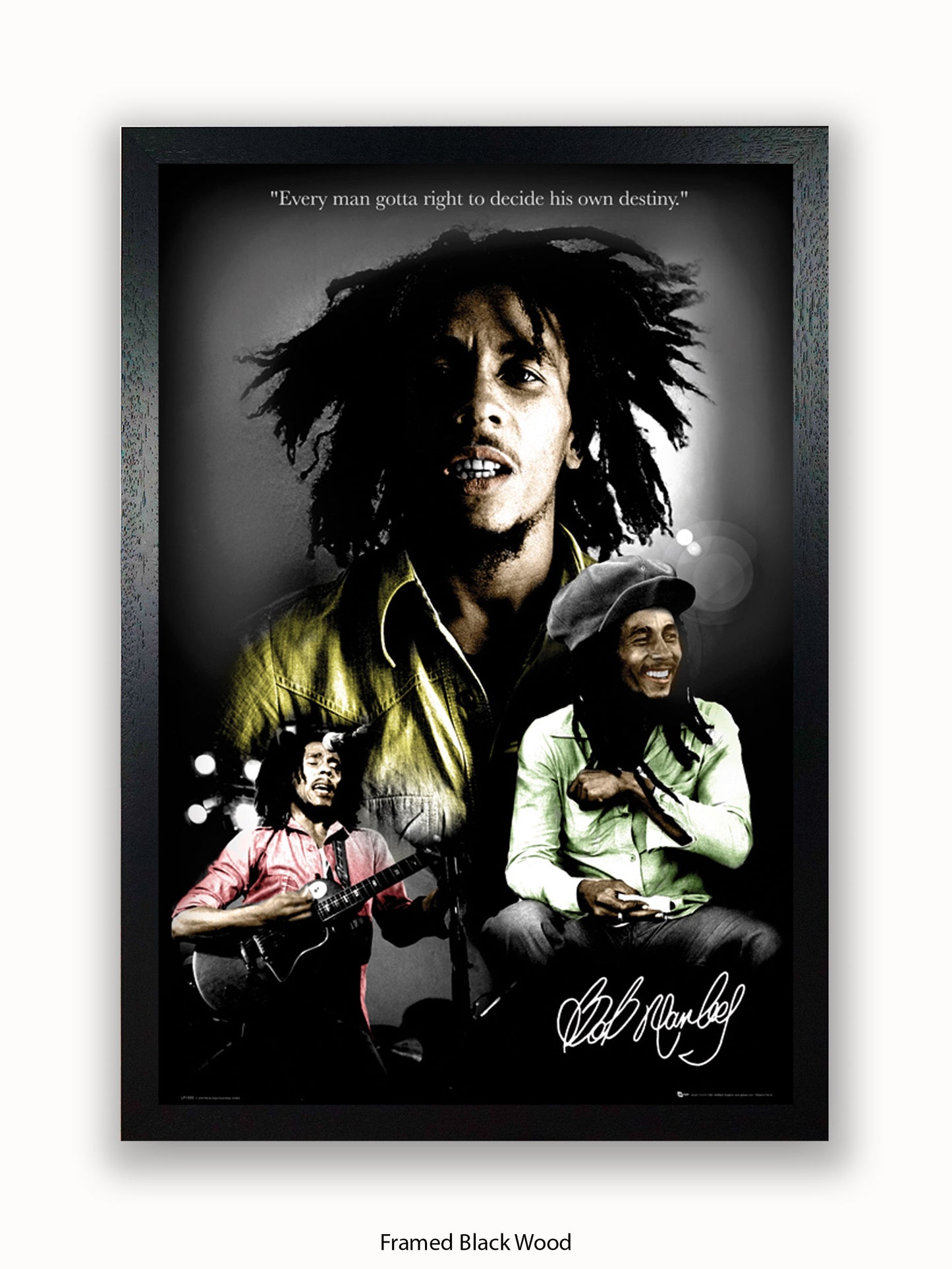 Bob Marley  Destiny 3 pics Poster