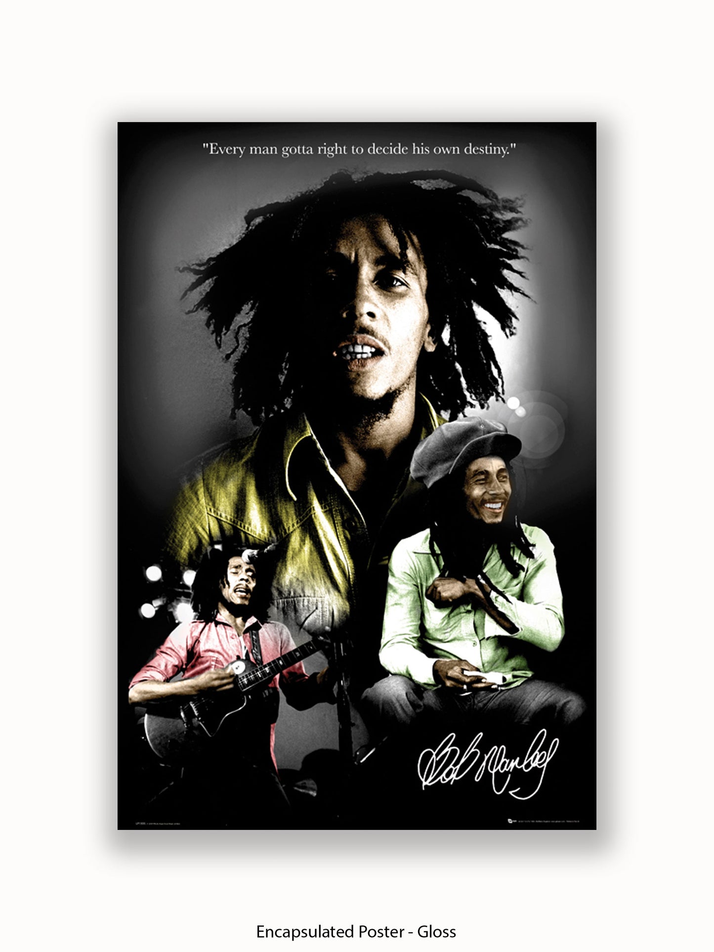 Bob Marley  Destiny 3 pics Poster