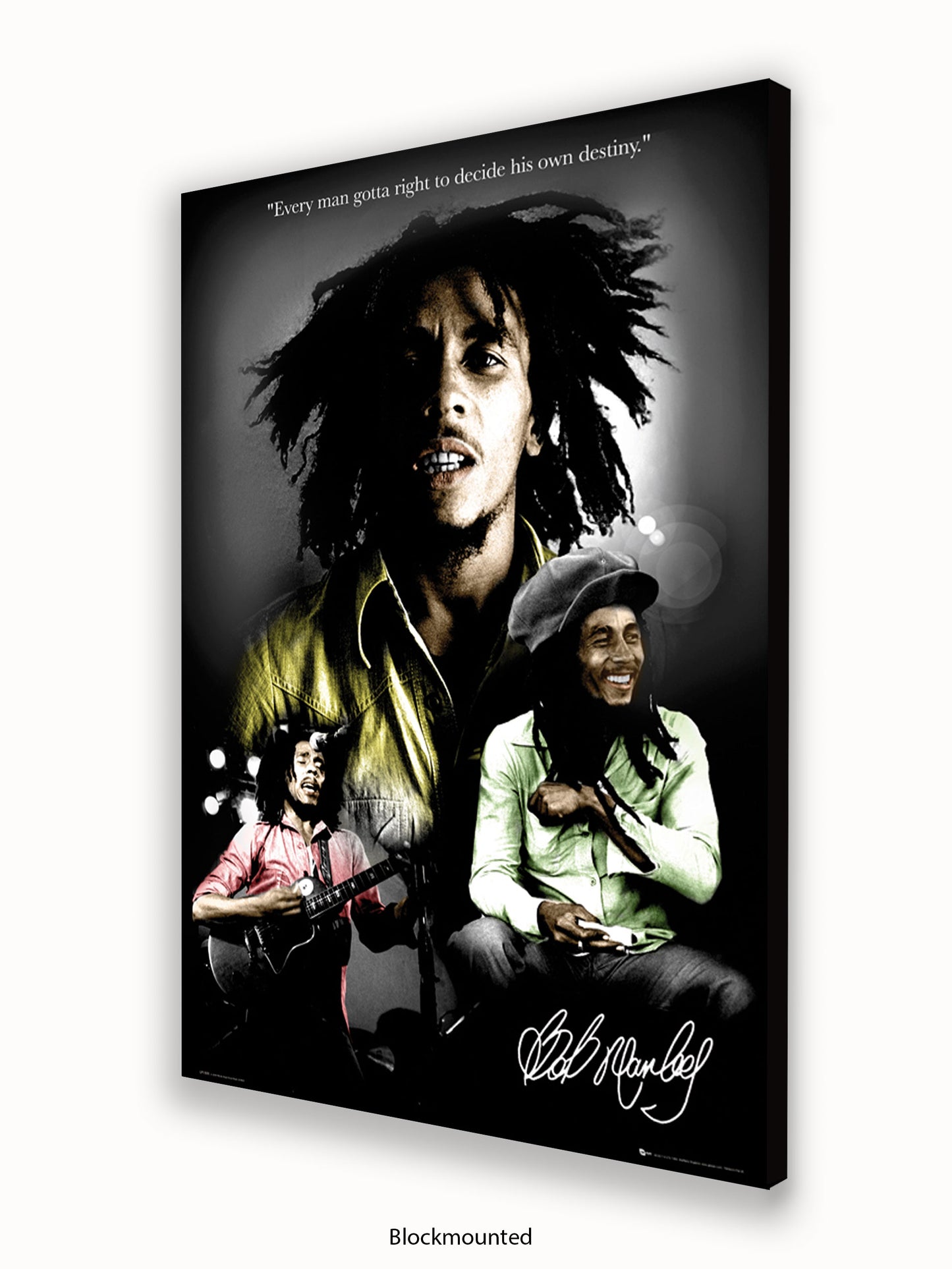 Bob Marley  Destiny 3 pics Poster