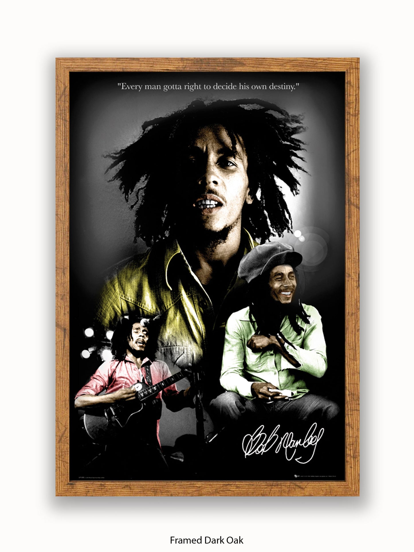 Bob Marley  Destiny 3 pics Poster