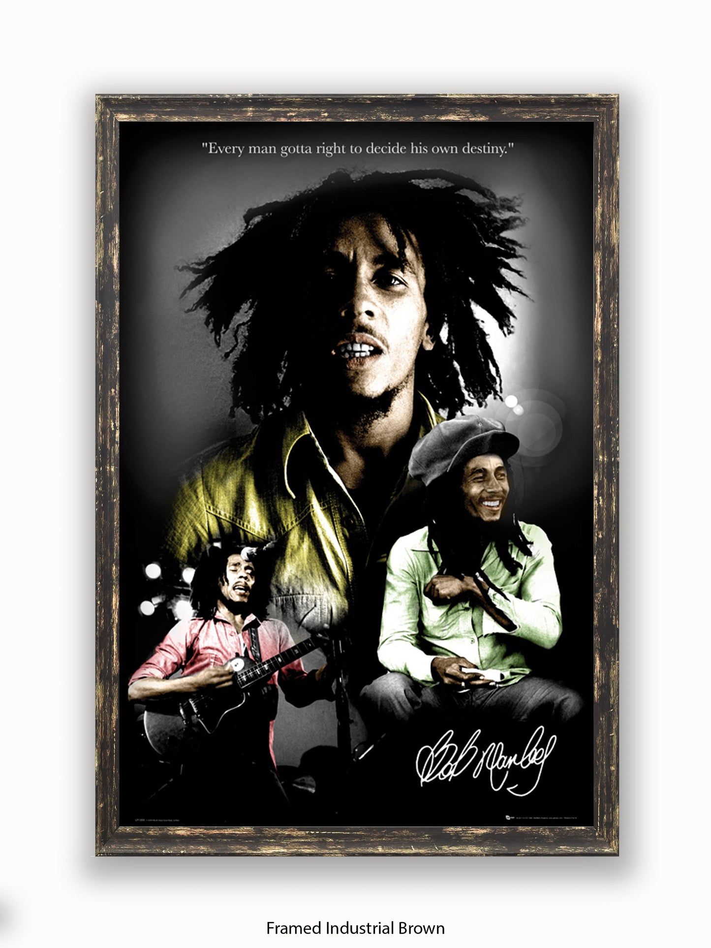 Bob Marley  Destiny 3 pics Poster