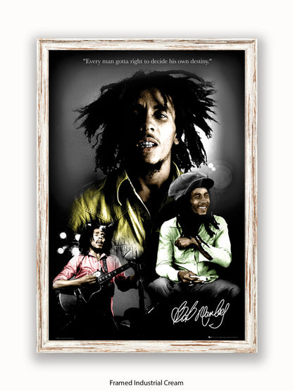 Bob Marley  Destiny 3 pics Poster