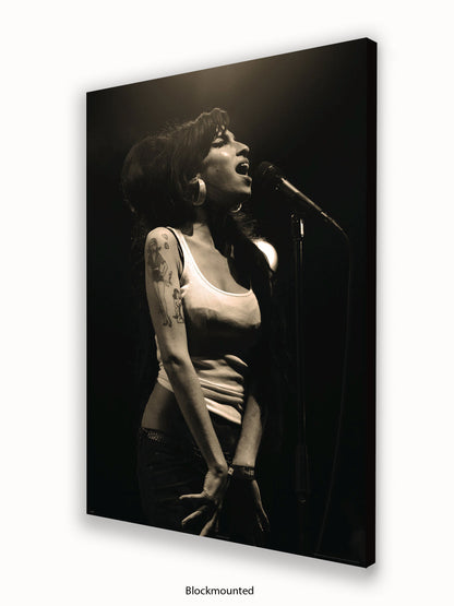 Amy Winehouse Live Poster