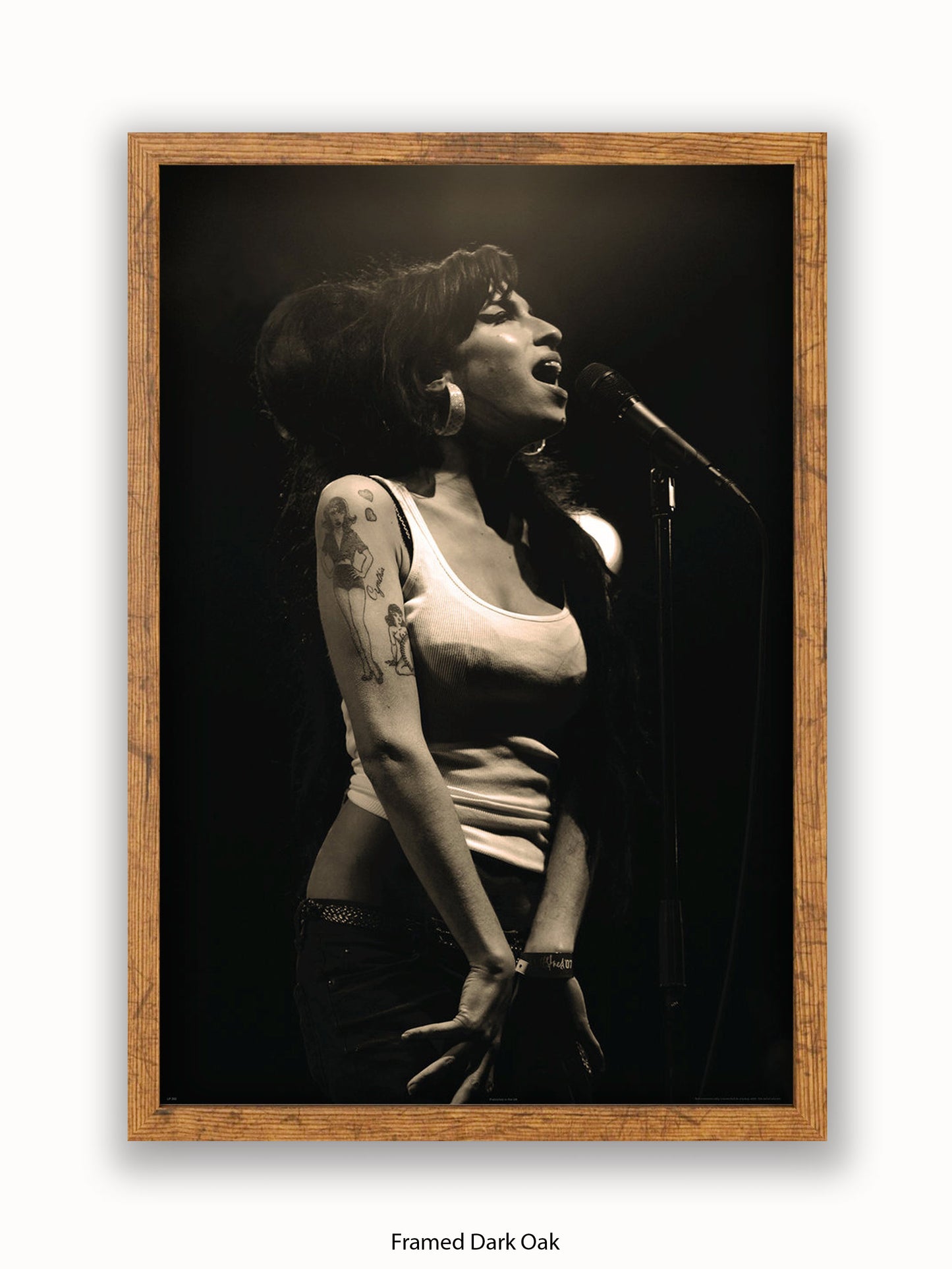 Amy Winehouse Live Poster