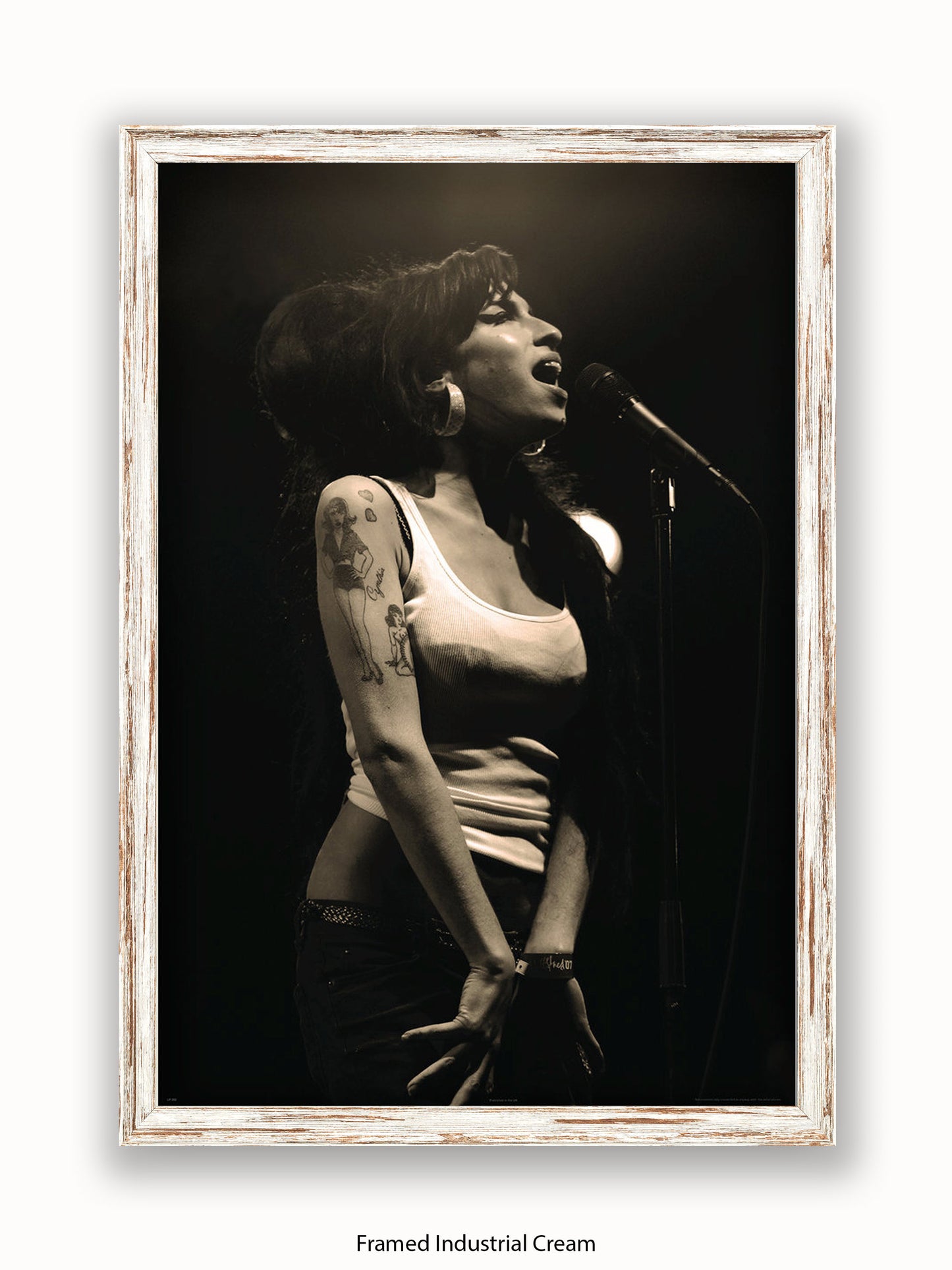 Amy Winehouse Live Poster