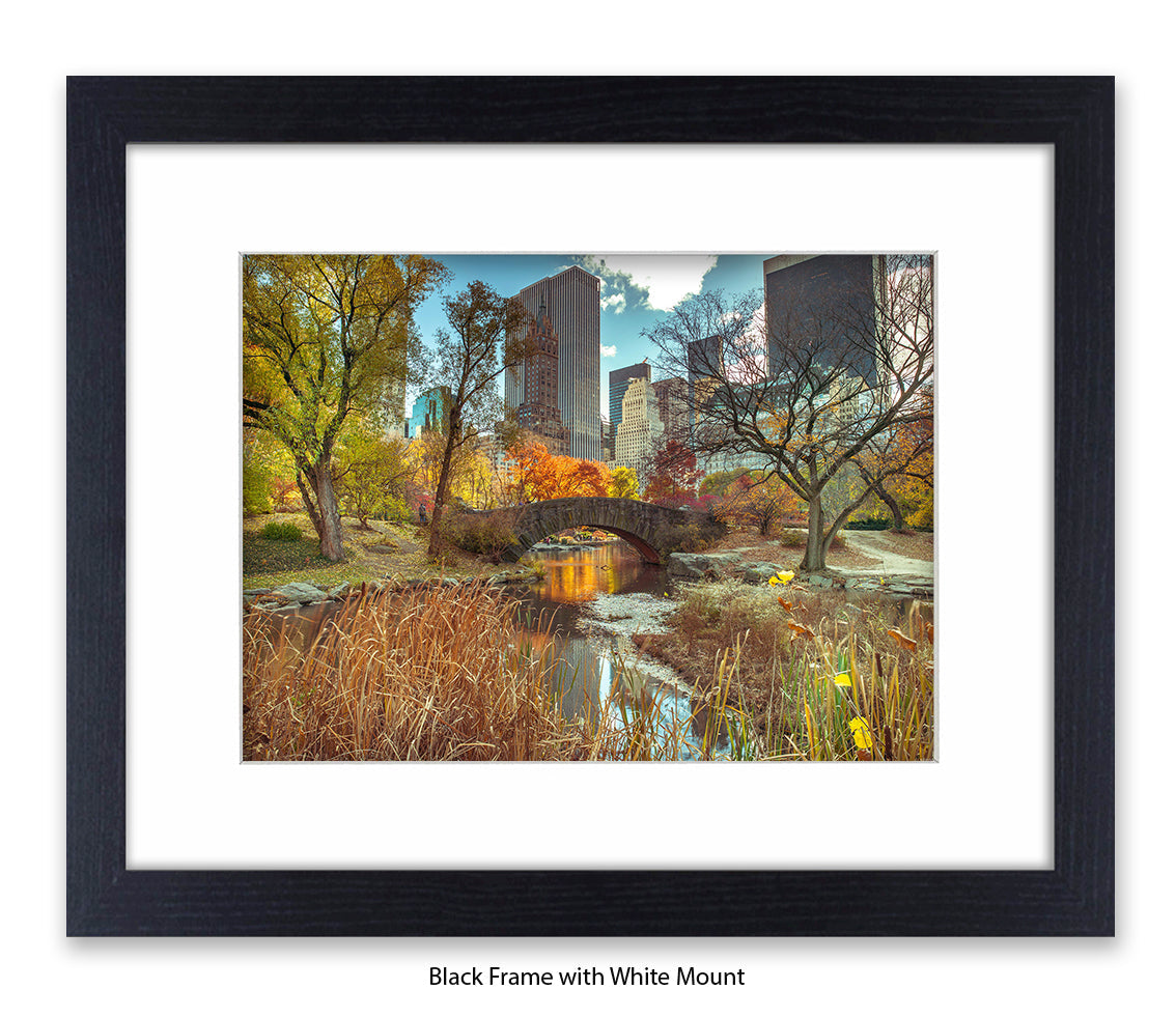 NYC Central Park - Bridge Colour - Mounted & Framed Art Print