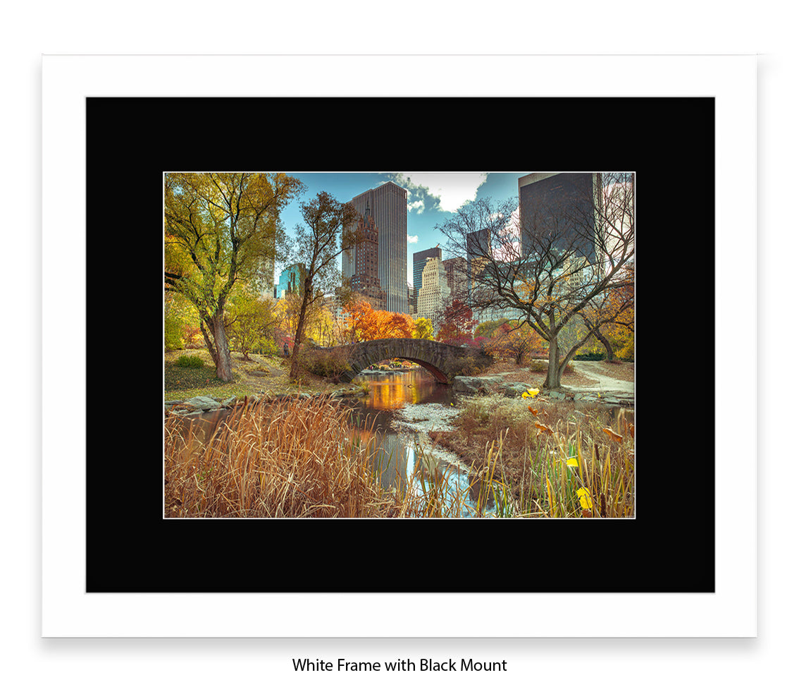 NYC Central Park - Bridge Colour - Mounted & Framed Art Print