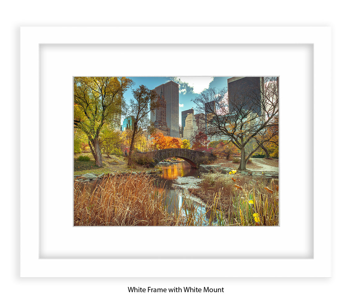 NYC Central Park - Bridge Colour - Mounted & Framed Art Print