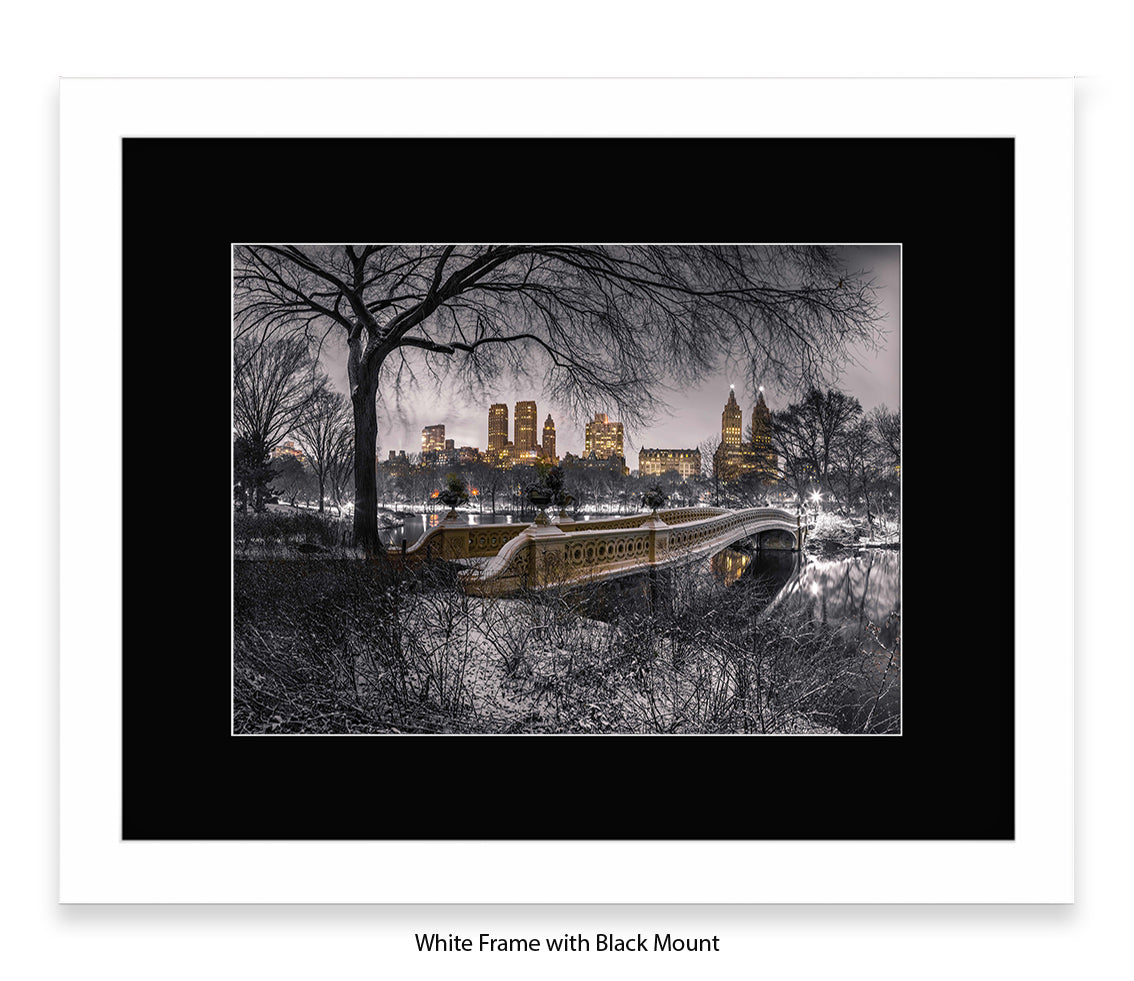 NYC Central Park & Manhattan Skyline - Mounted & Framed Art Print