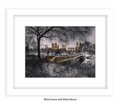 NYC Central Park & Manhattan Skyline - Mounted & Framed Art Print