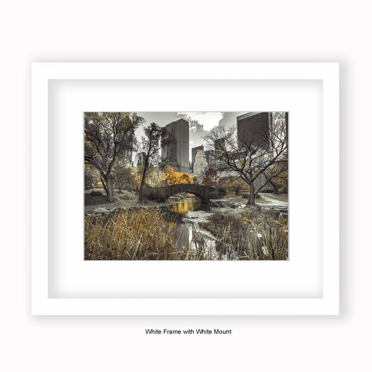 New York Central Park - Two Tone - Mounted & Framed Art Print