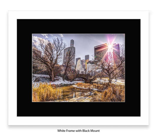 NYC Central Park Sunlight - Mounted & Framed Art Print