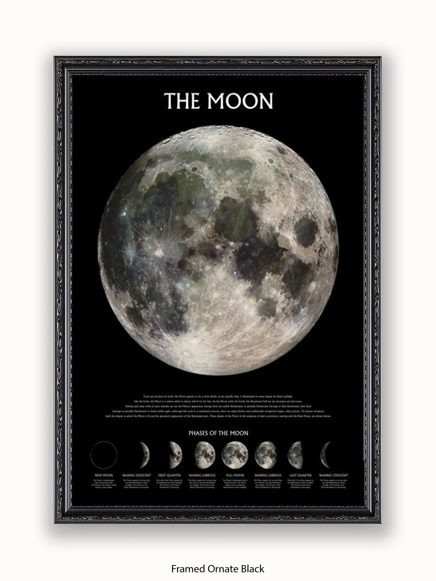 Moon  Phases Poster