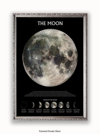 Moon  Phases Poster