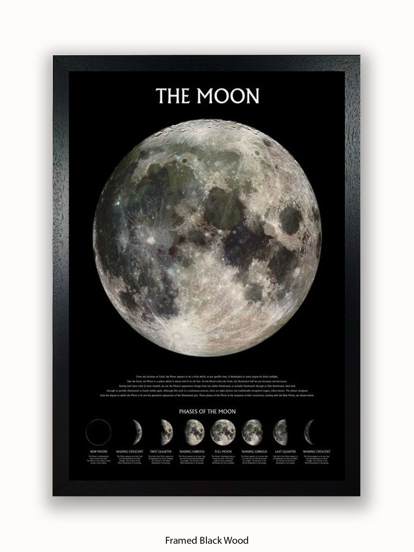 Moon  Phases Poster