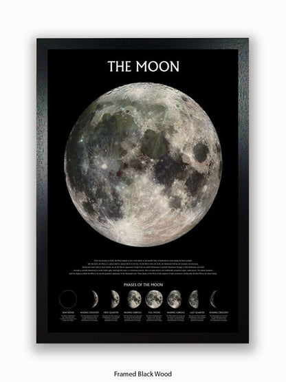 Moon  Phases Poster