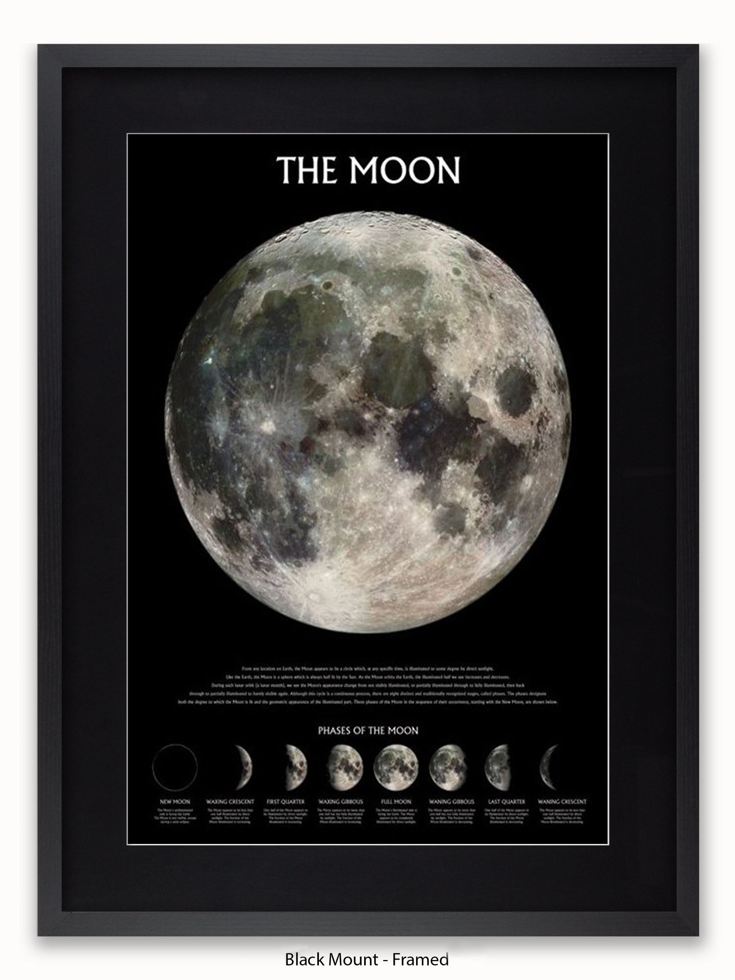 Moon  Phases Poster