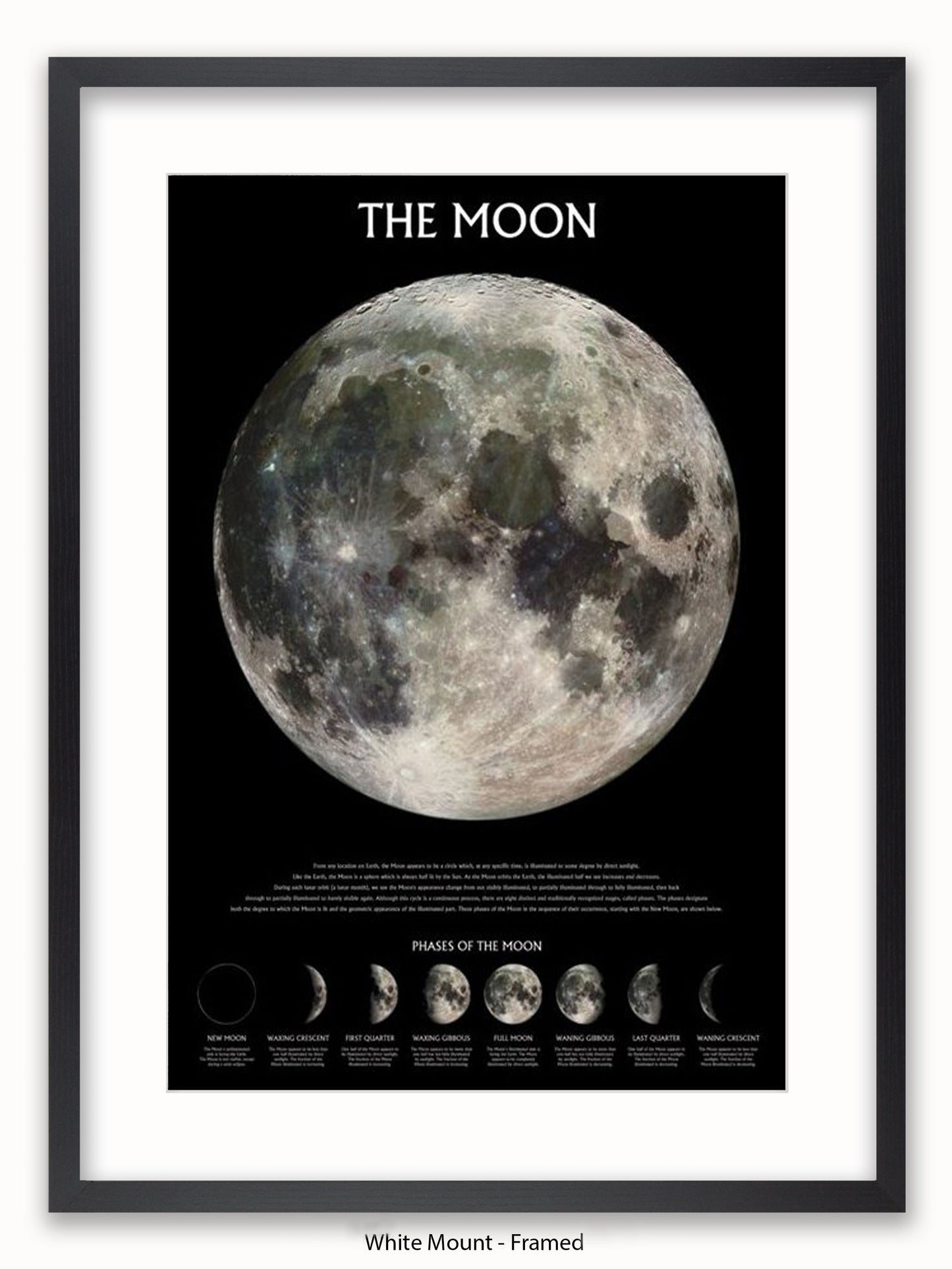 Moon  Phases Poster